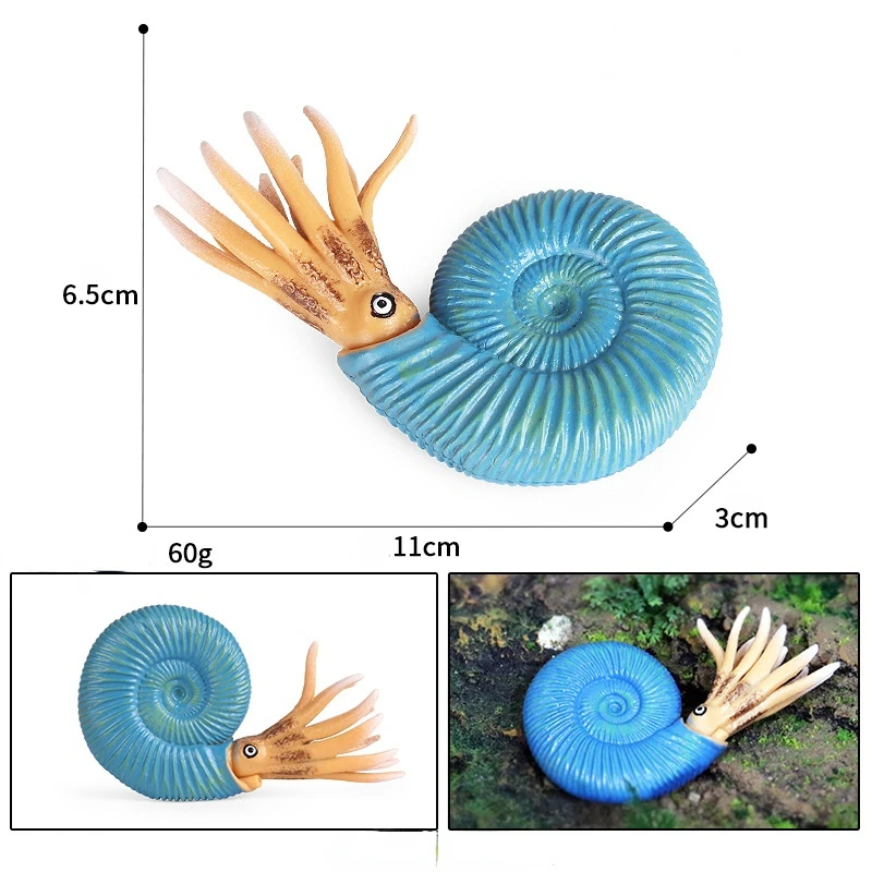 Xà Cừ Mô Phỏng Động Vật Biển Đồ Chơi Mô Hình Cổ Sinh Vật Nautilus Mô Hình Trẻ Em Búp Bê Đồ Trang Trí