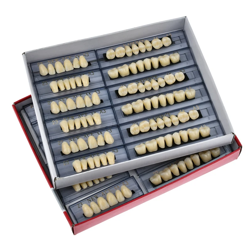 168pcs/box Dental Materials Denture False Teeth Model Resin Dentures Dentist Lab Tools