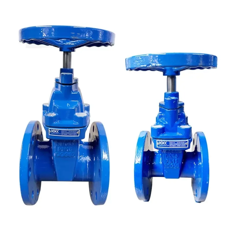 BS5163 DIN3202 3352 F4/F5 SABS663 Ks JIS5K 10K OS&Y Nrs Ductile Cast Iron Resilient Rubber Seat Flange Gate Valve