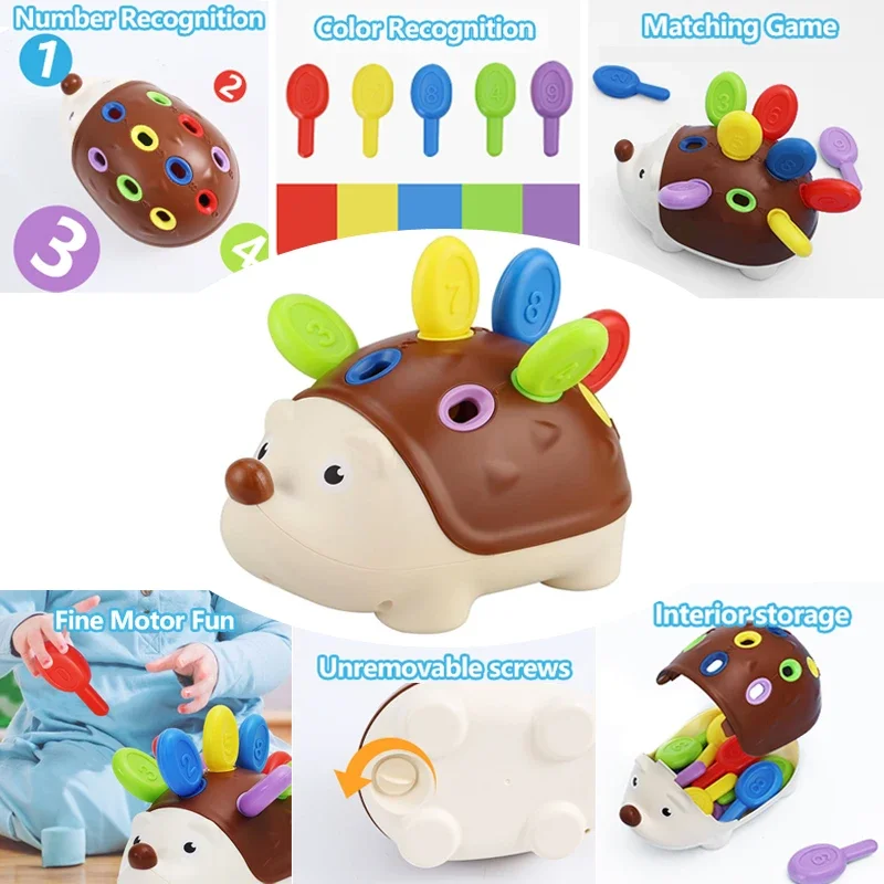 

Hedgehog Montessori Educational Toy Fine Motor Toys for Toddlers Learning Counting & Training Develop Concentration Sensory Gift