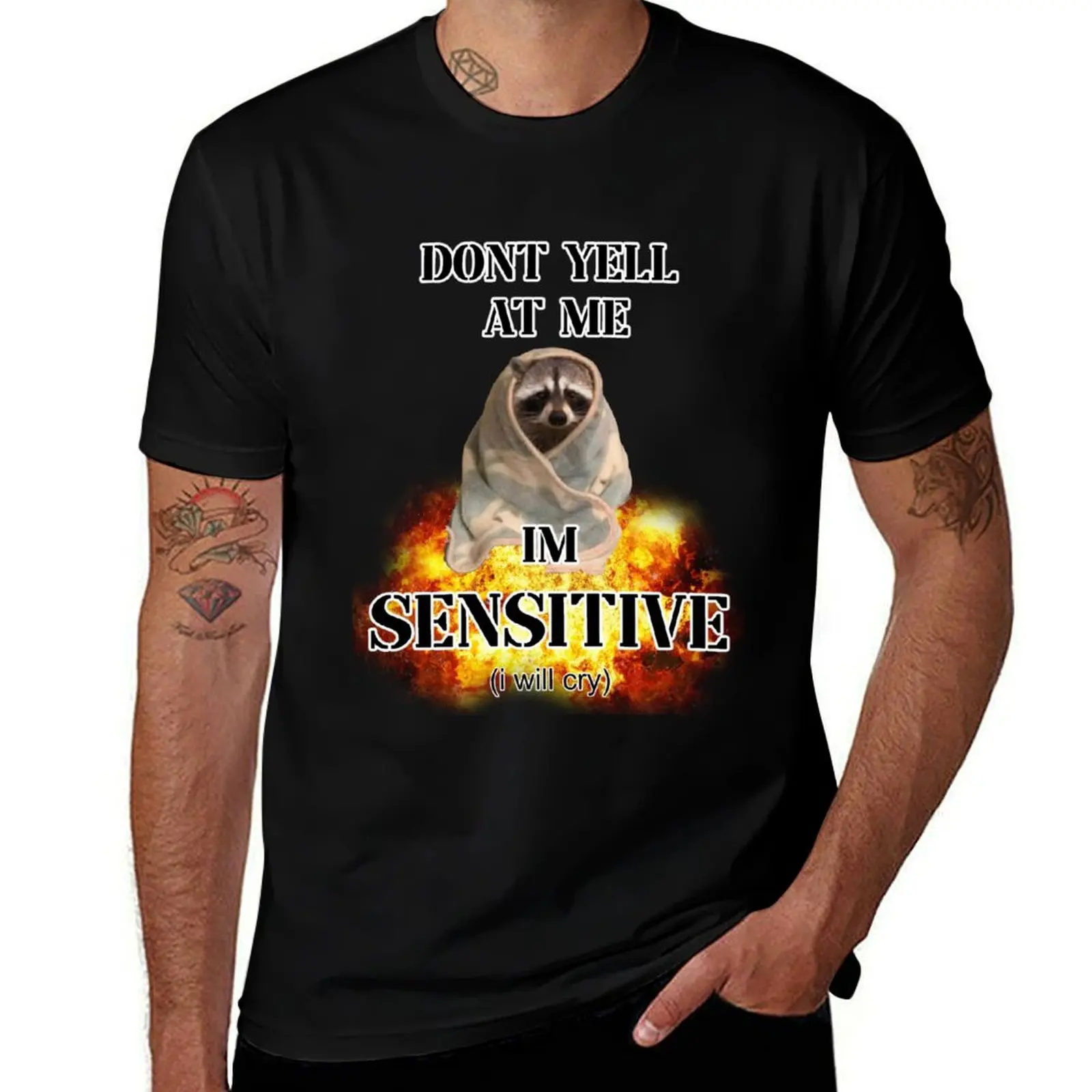 dont yell at me im sensitive (i will cry) T-Shirt Soft Casual Short Sleeve Cotton Tee T-Shirt