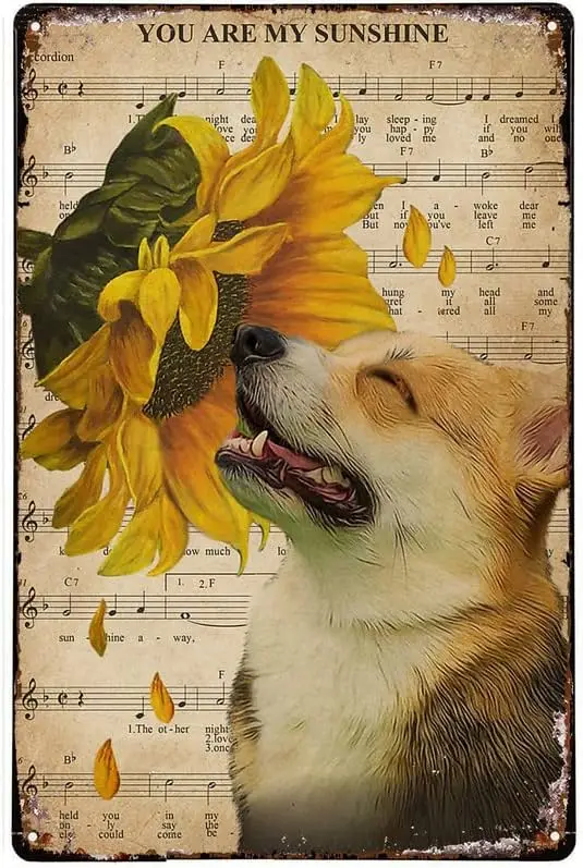 Funny Novelty Tin Sign Music Sheet Sunflower My Sunshine Corgi Metal Wall Plaque Decor Lovers Gift Outdoor Indoor Wall Pane sign