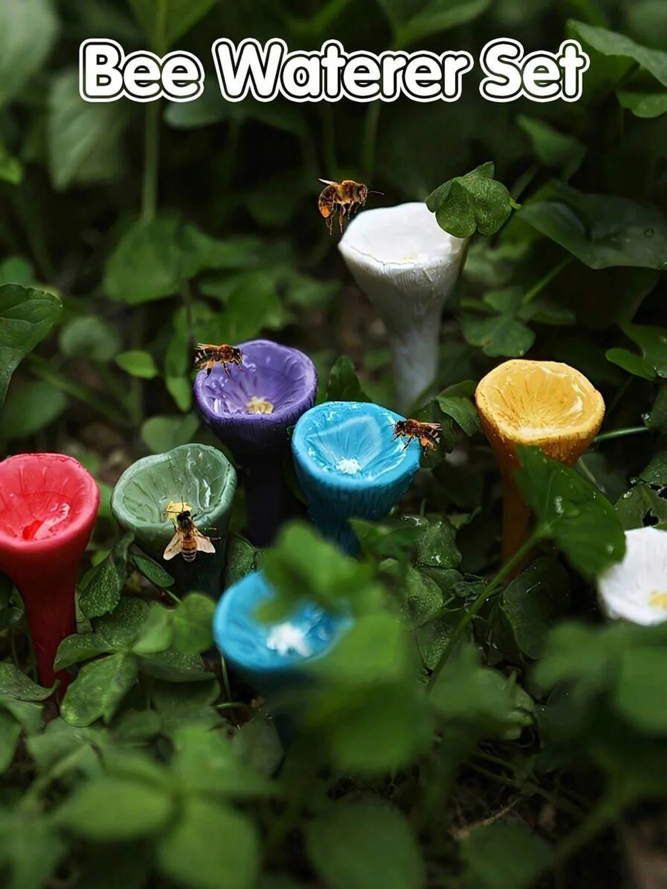 5-Piece Set Colorful Bee Water Dispensers Insect Drinking Cups Garden Bee Feeders for Breeding And Maintenance