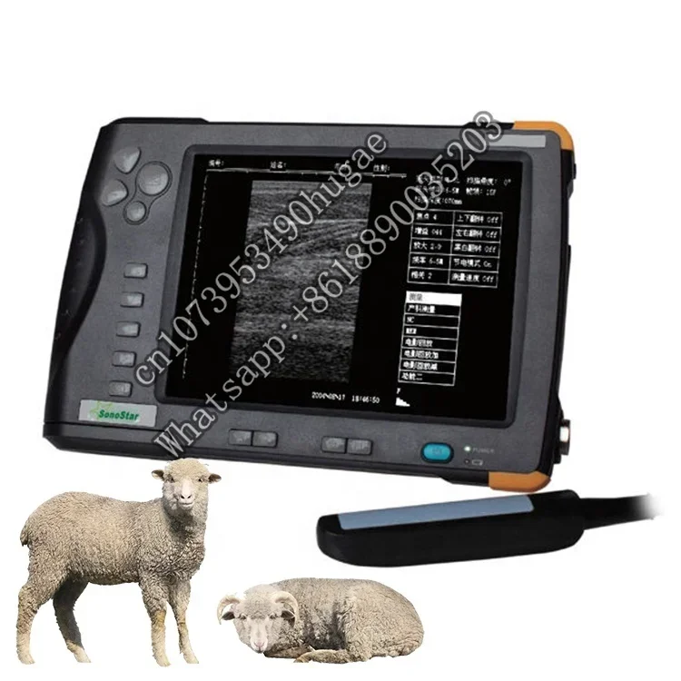 Rectal Convex Ultrasound Veterinary Sonar 7-inch Screen Horse Sheep Portable  Scanner Machine For  Use