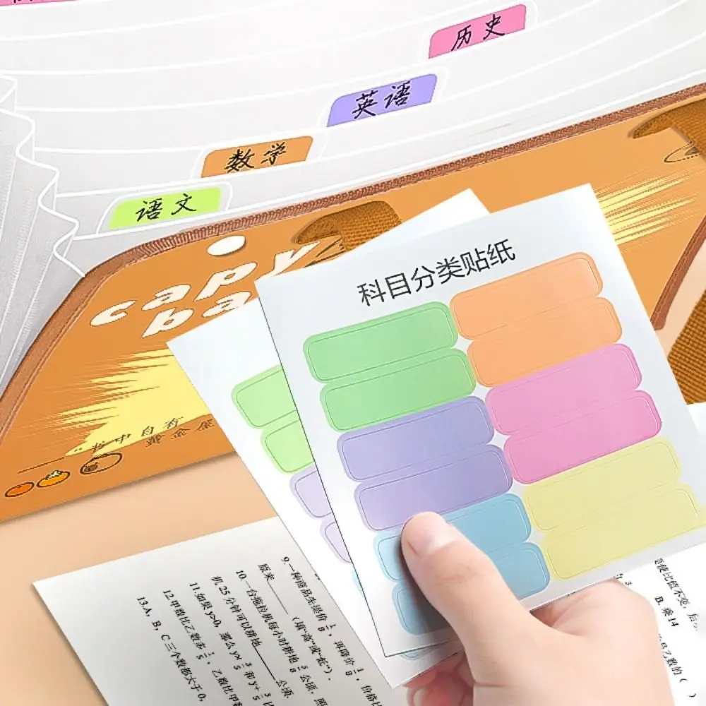 Cute Capybara A4 File Folder 13 Pockets Waterproof File Organizer Large Capacity Cartoon Document Bag Students