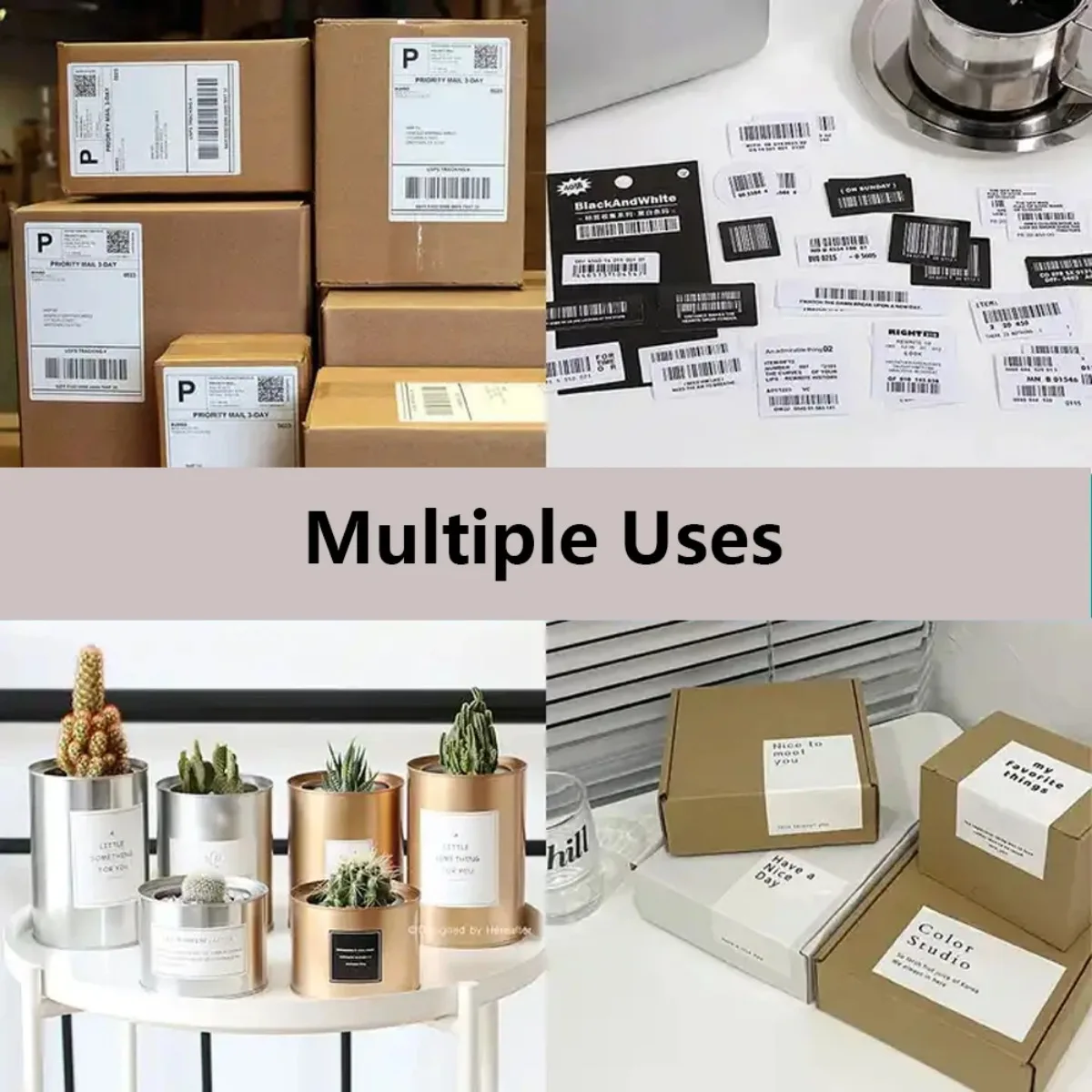 2 rotoli di etichette autoadesive bianche multidimensioni resistenti ai graffi Inventario di spedizione Code a barre al dettaglio SmallBiz Office Budget Matte