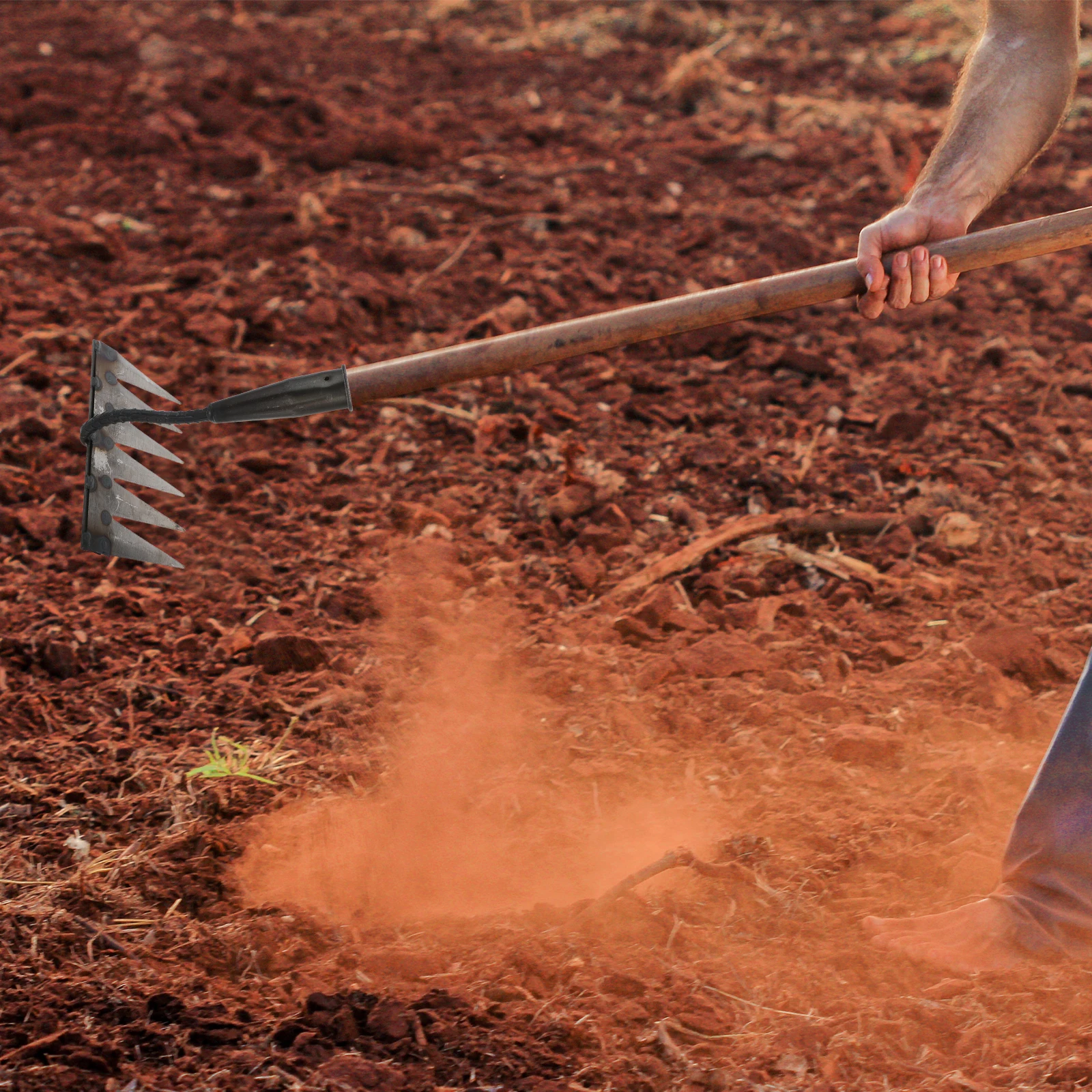 

Heavy Duty Garden Carbon Steel Lawn Leveling Tool Lightweight Grass Removing Hand Rake Soil Loosening Yard Landscaping Tool