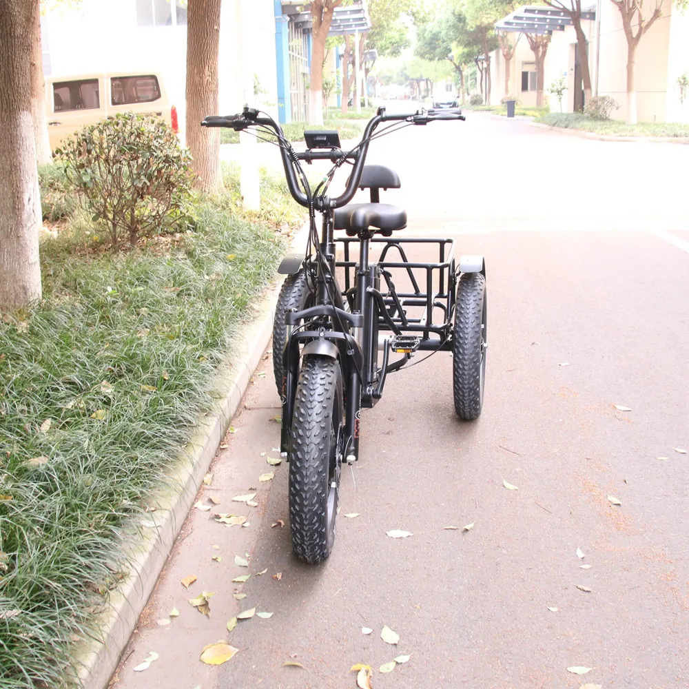 AAQ 48V 750w OEM ODM Electric 3 Wheel Bicycle Trident Fat Tire Rear Motor Electric Motorcycle