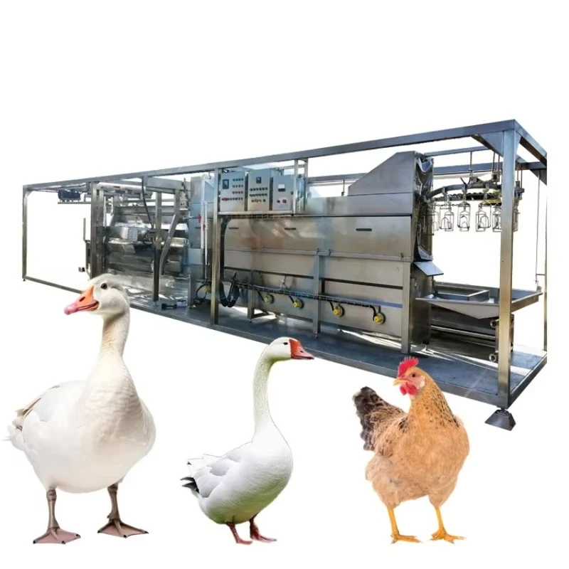 Línea de Sacrificio de Aves de Corral Personalizada de Bajo Ruido, Diseño de Funcionamiento Silencioso para Fábrica de Procesamiento de Aves de Corral en Interiores
