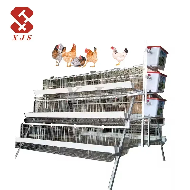 Automated Poultry Farm Equipment A Type Layer Egg Laying Chicken Cage System With Automatic Feeding System