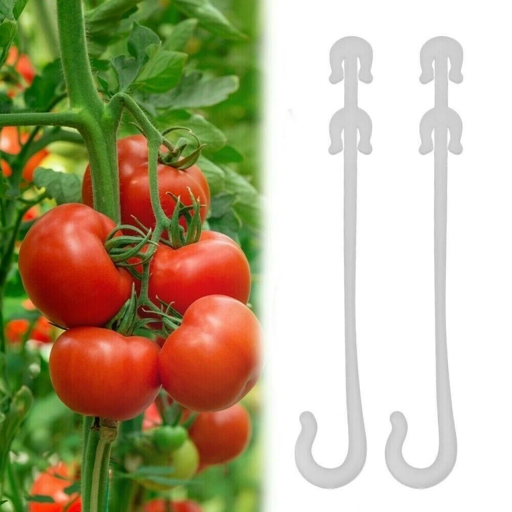 Gancho para la oreja en forma de J para jardín, Clips de sujeción para plantas y verduras, con hebilla fija para fruta, cereza y tomate, 100 piezas