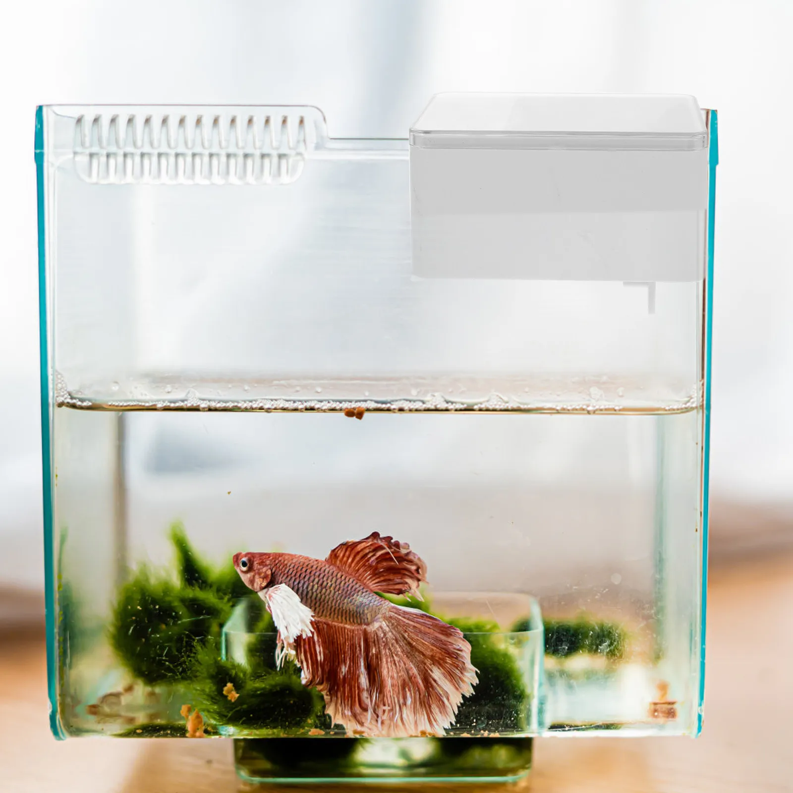 

Автоматическая кормушка для рыбок, пластиковая, для небольших аквариумов, длительное время работы (3 месяца), бесшумная.