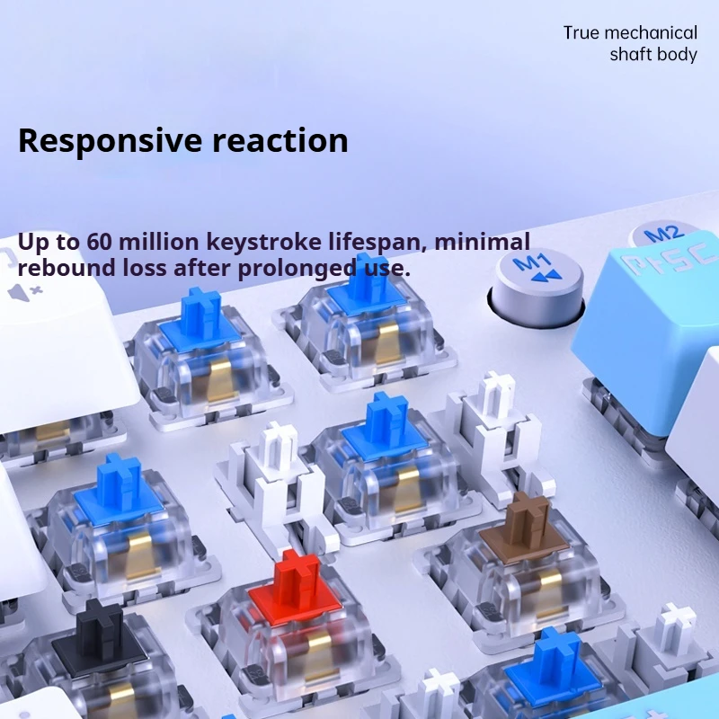 울프 스파이더 F3001 키보드 트라이 모드 연결 무선 그린 축 87키 풀 키 무충전 장시간 사용 키 케이블 분리형