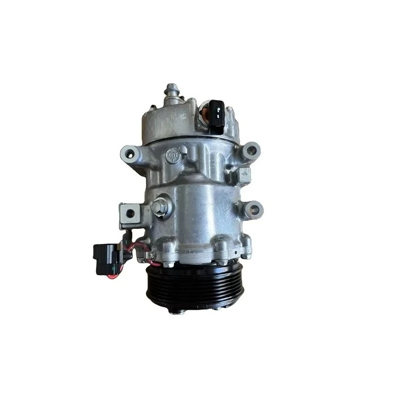

Professional Car Conditioner System Auto Compressor Assembly Air Conditioning Compressor 301000131AA for Chery