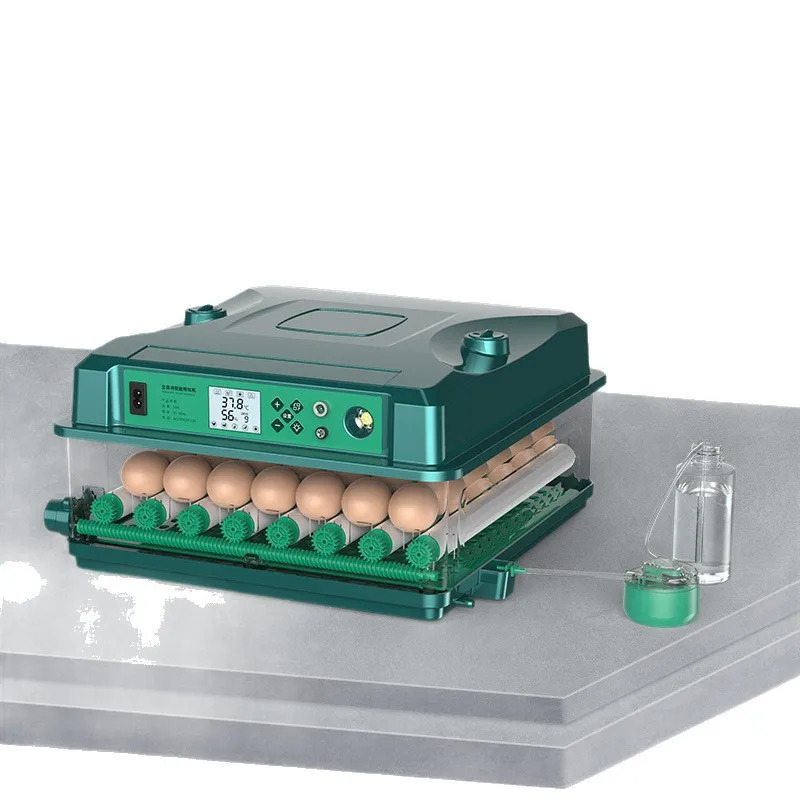 mini-incubatrice-automatica-intelligente-per-uova-di-gallina-con-controllo-automatico-dell'umidita-per-uso-domestico