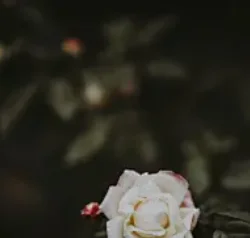 2 Din Head Unit Rad… - image