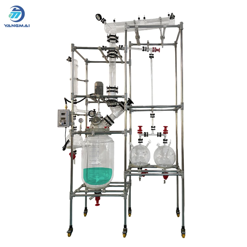 100L Jacketed Glass Reaction Kettle Automatic Control for Laboratory Use 220V High Productivity Controlled Radical