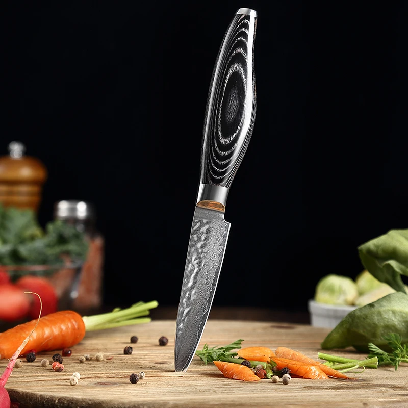 

TJ POP 3.5 Inch Paring Knife 67 Layer Damascus Steel Utility Knife Sharp VG10 Vegetable Fruit Knife Peeling Kitchen Chef knife