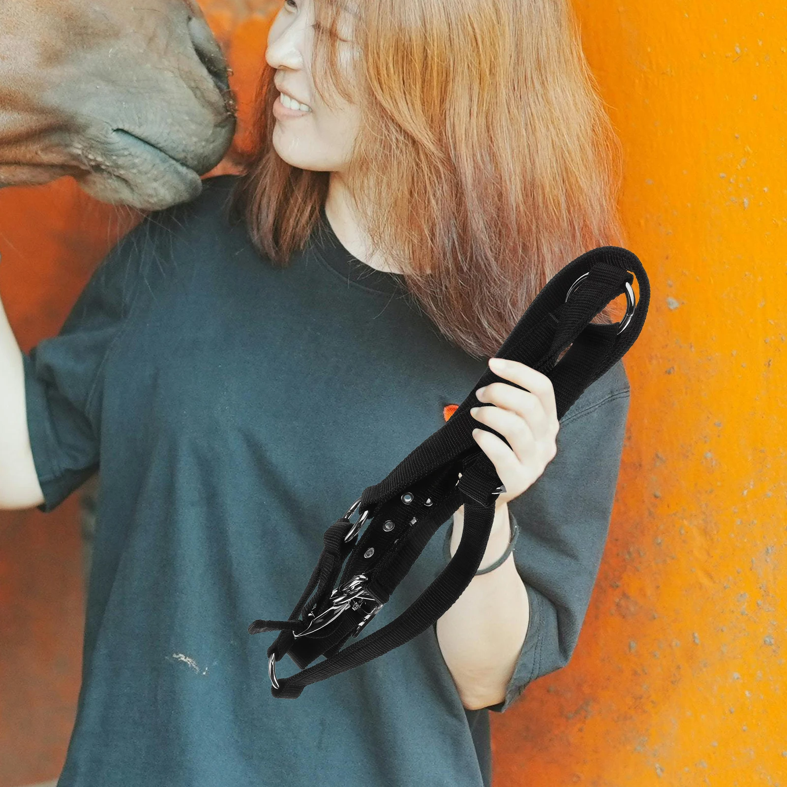 

Adjustable Horse Halter Rope Set Nylon Padded Comfortable Breakaway Safe Equestrian Training Equipment