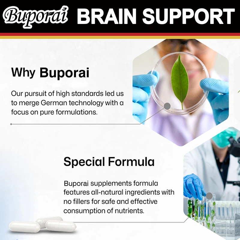 Brain Support Supplement - Ashwagandha, Panax Ginseng and Ginkgo Biloba - Brain Health, Improving Memory and Concentration