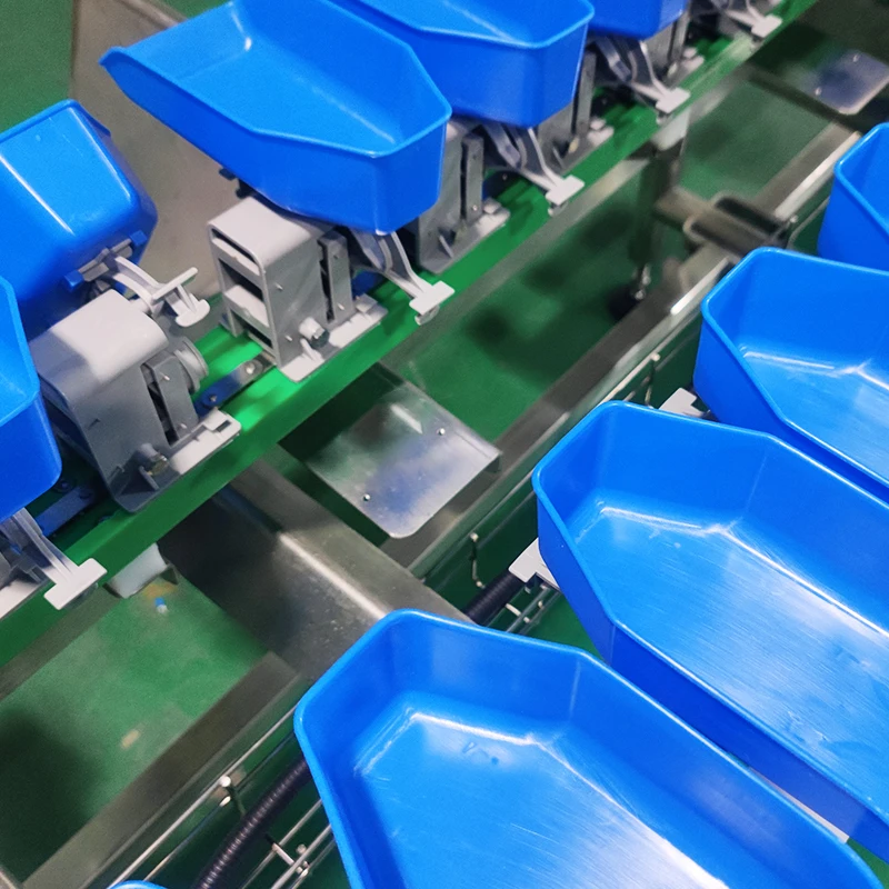 Automatic PLC-Based Industrial Citrus Fruit and Vegetable Sorting Machine with Multifunctional Weight Grading