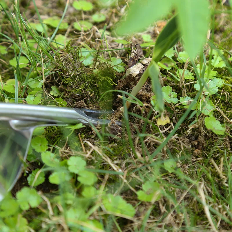 Holzgriff Edelstahl Garten Unkraut vernichter Hand Jäten tfernung Cutter Puller Werkzeuge Multifunktions-Unkraut transplantation