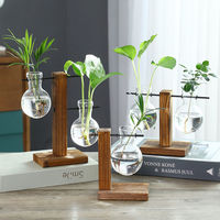 Glass Hydroponic Vase Transparent Bulb Flower Pots with Wooden Stand Flower Arrangement Container Planter Custom Desk Home Decor