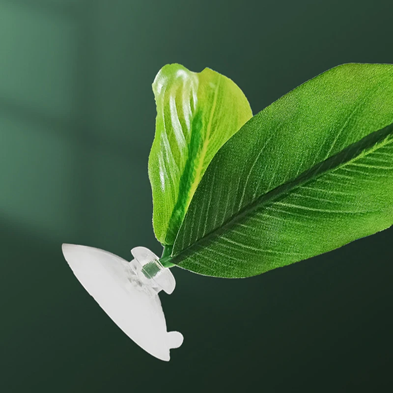 1 قطعة نفق بيتا إخفاء بركة استراحة الأسماك مخبأ التورخ خزان الديكور أنبوب أكريليك حوض السمك كهف لتحسين صحة بيتا #4