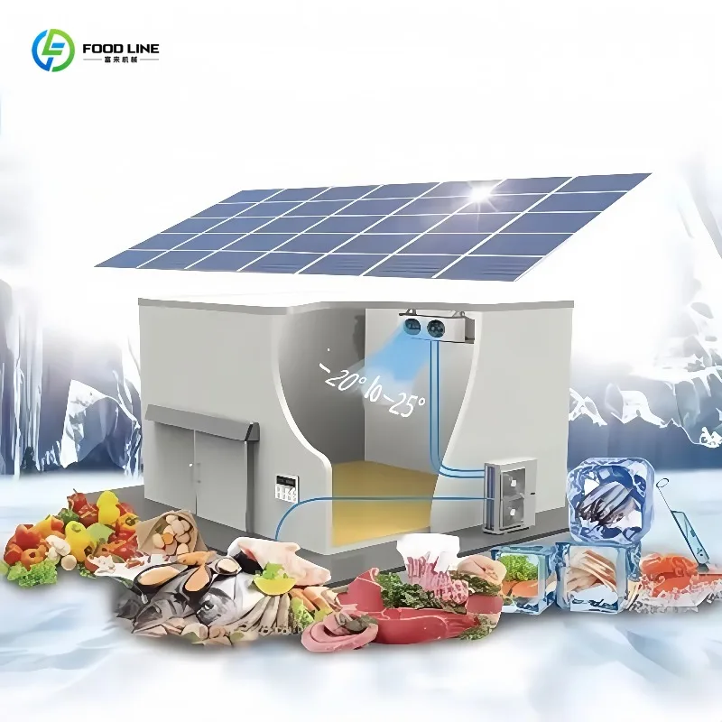 Customized 20 Foot Cold Storage Solar Container Freezer System Freezer Storage Good Price