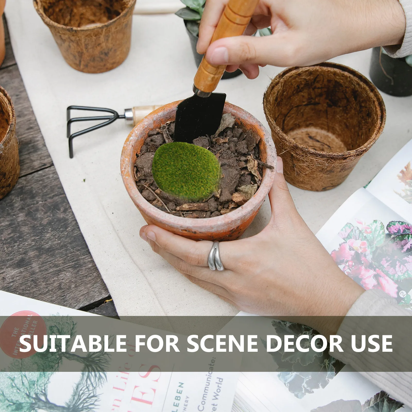 

38Pcs Simulated Mossy Stone Decor Premium Material Garden Bonsai Succulent Plant Decoration Natural Atmosphere