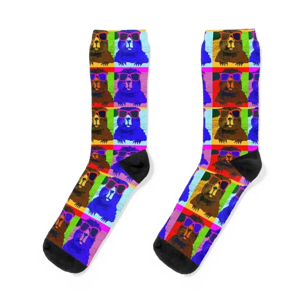 

Good ol' Beaver Critter Tribute ... Andy Warhol Pop Art Style Socks shoes warm winter sports stockings Male Socks Women's