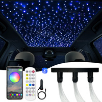 Small LED Optic Fiber Lights Kit Bluetooth APP & RF control RGBW Twinkle Starry Sky Effect Ceiling Light Optical Fiber Cable