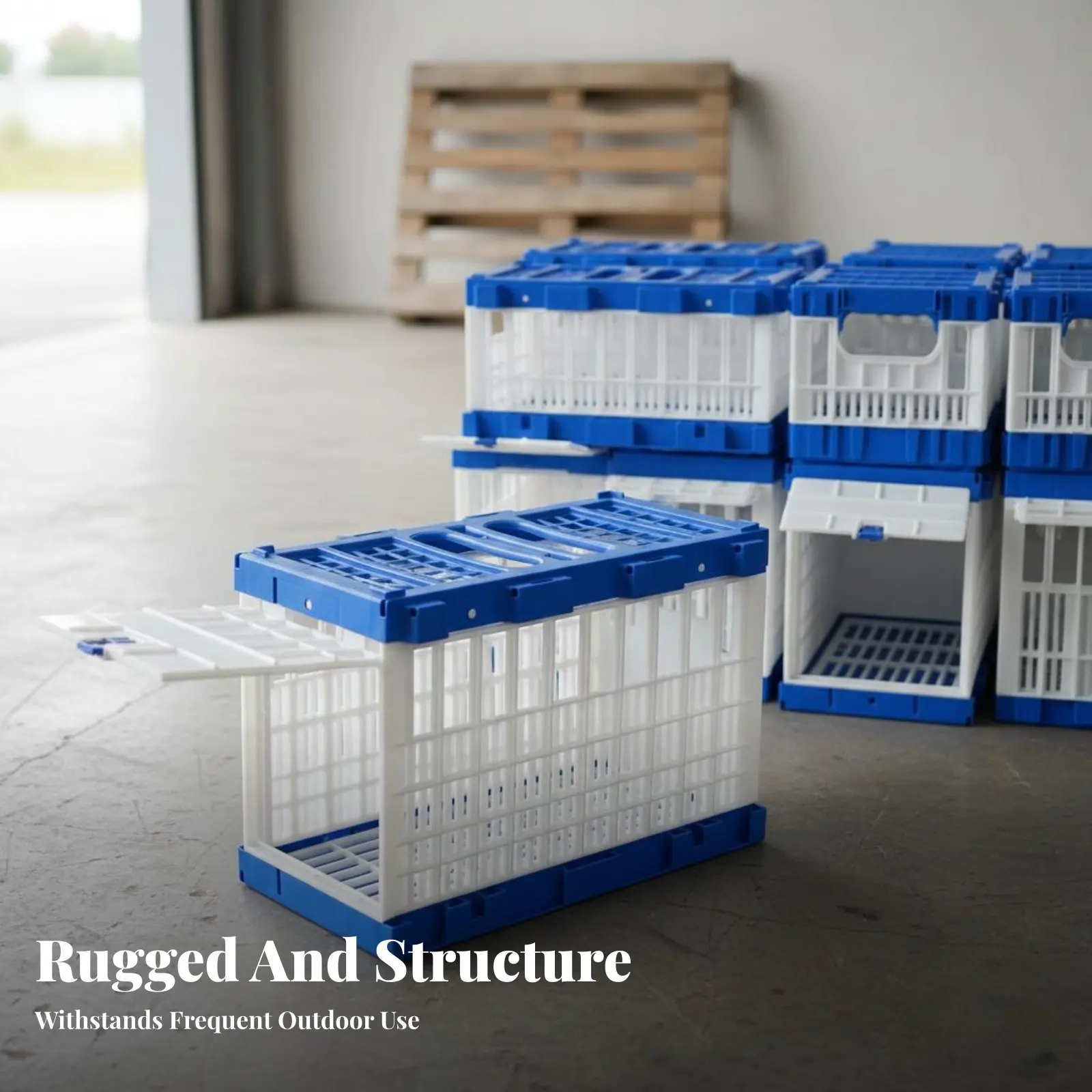 

Клетка для выпуска голубей, прочная, для дрессировки, зоотовары, с надежным замком, несколько дверей для транспортировки