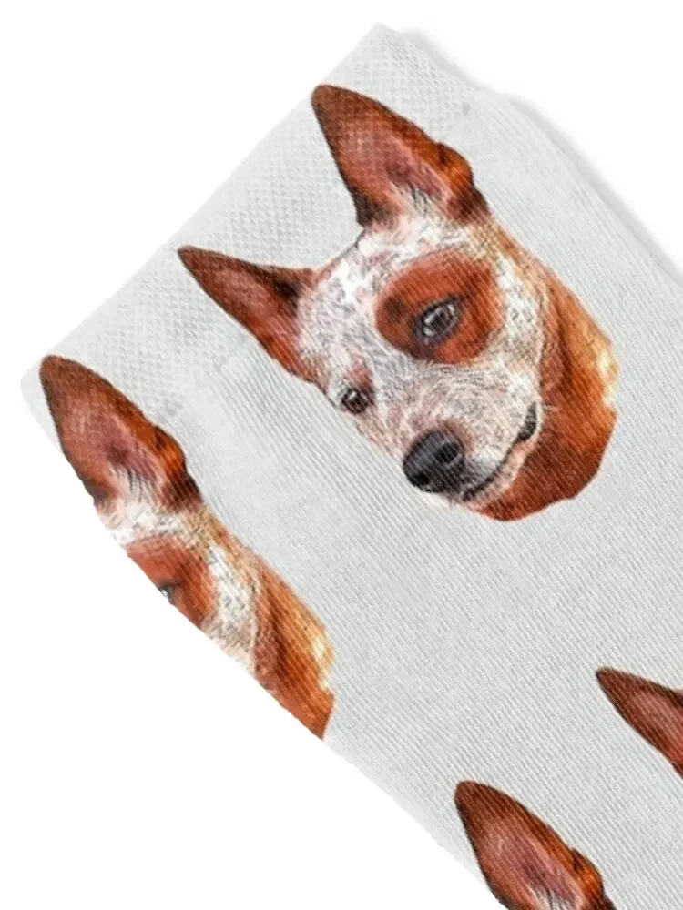 Red Heeler Australian Cattle Dog Socks football christmas gift tennis Thermal man winter Socks Women Men's