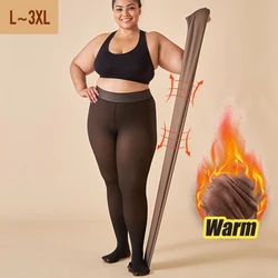 Collants de lã quente femininos, meias térmicas, meia-calça sexy, perneiras, calças translúcidas com isolamento, plus size, inverno