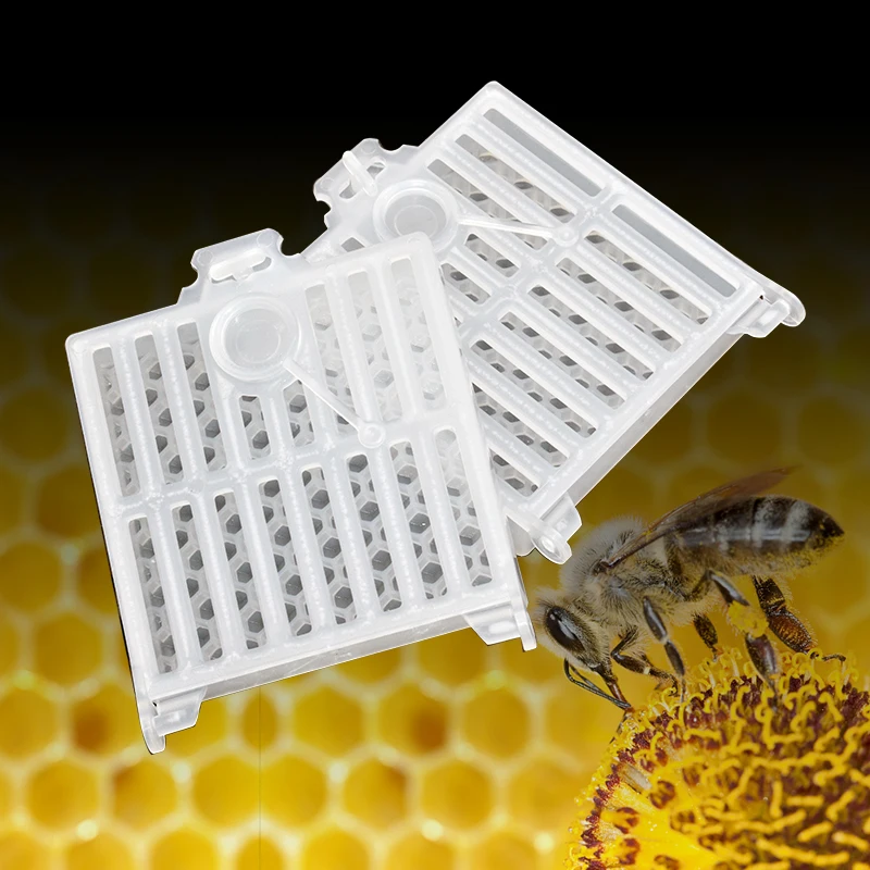 New Design Bee Farm Queen Bee Post Cage Transparent Box with Comb Fundation Sheet Queen Rearing Tool Beekeeping Supplies