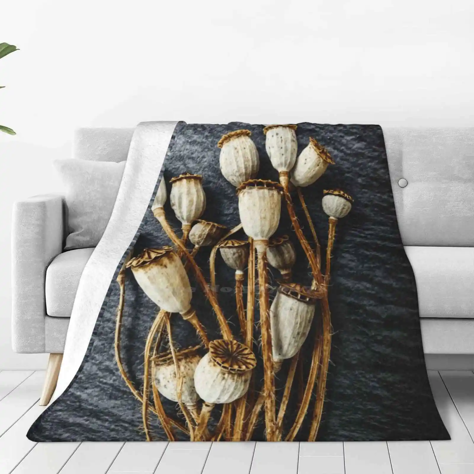 Pods Super Warm Soft Blankets Throw On Sofa/Bed/Travel Color Nature Still Life Close Up Macro Poppy Seed Pods Dried Seed Pods