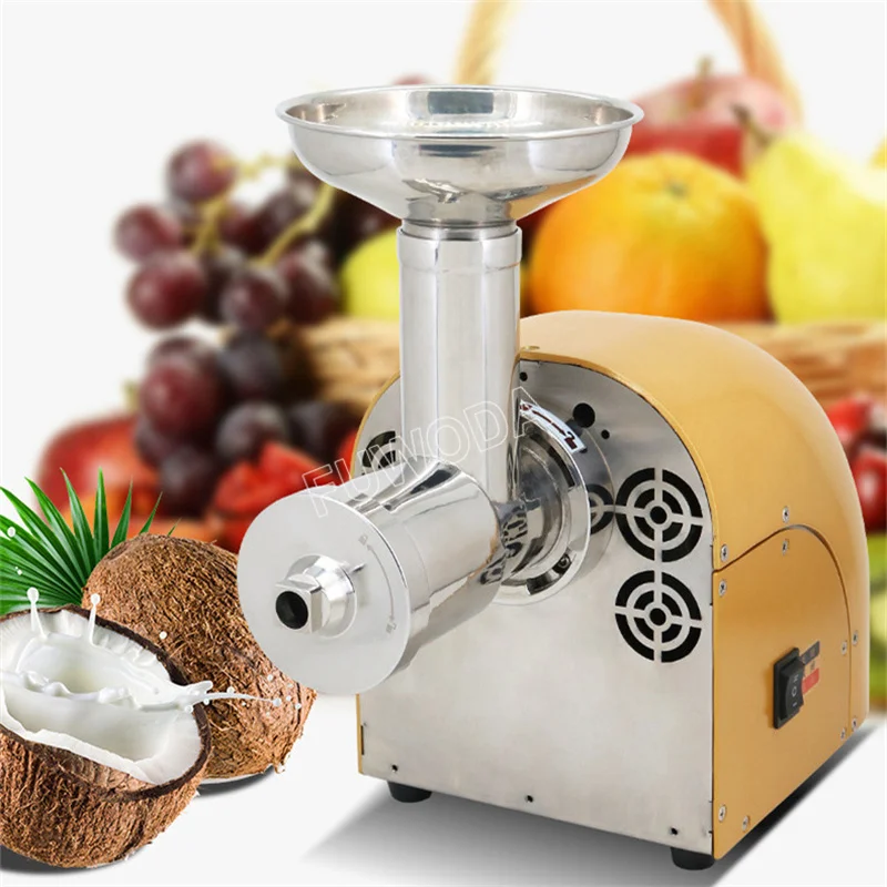 Masticating Auger Juicer 300W Fruit and Vegetable Low Speed Juice Extractor Slow Compact Cold Press Juicer Machine