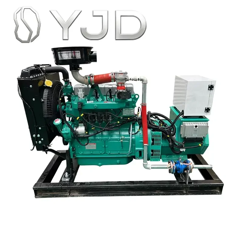 Natural Biogas Syngas Generator 400V Three-Phase Four-Wire 100% Copper Wire Brushless Alternator CHP Parallel Operation