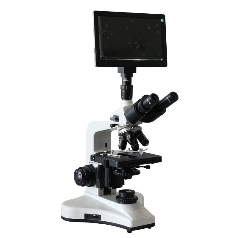 BL-123TDM 11.6