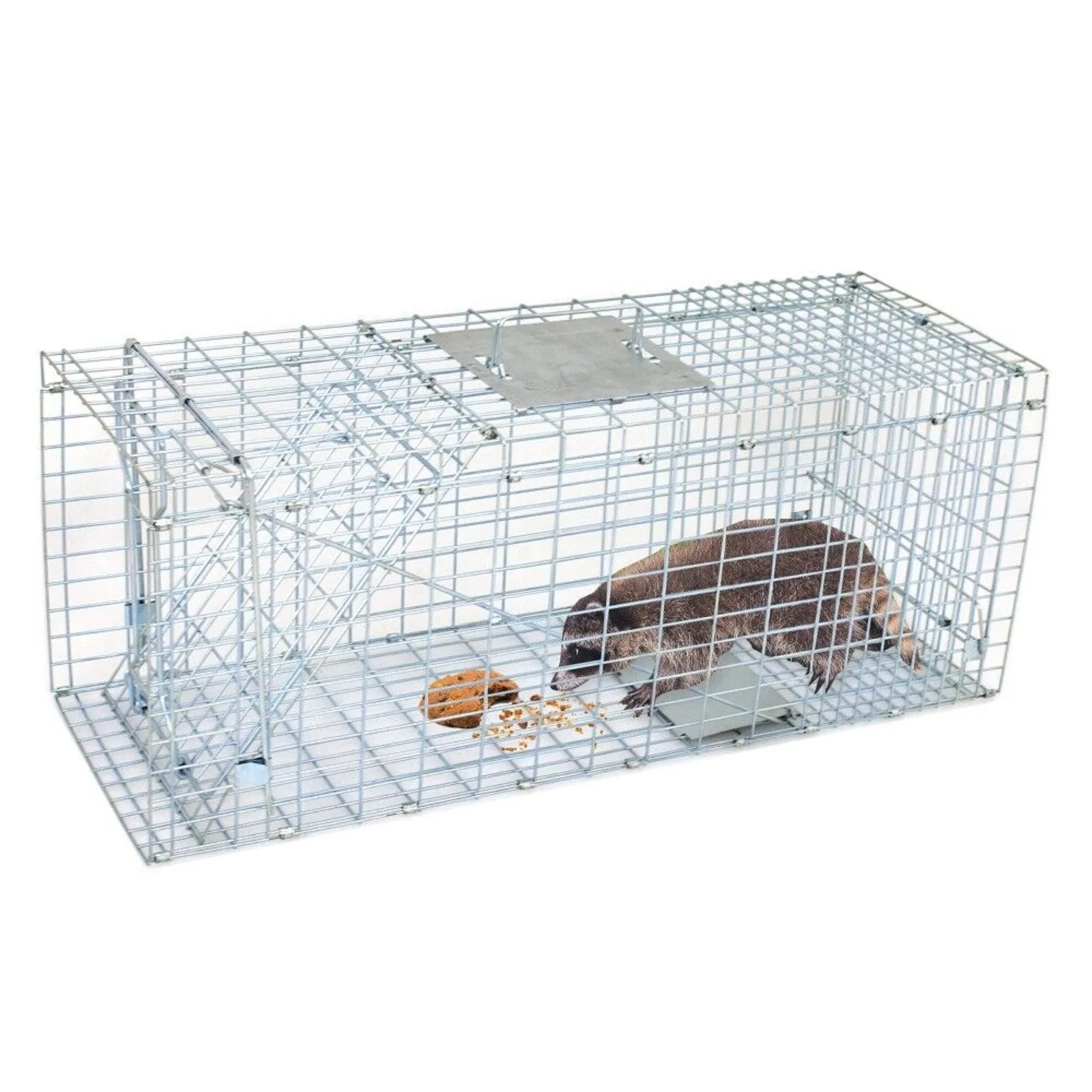 

Humane Animal Trap 32x12x12 Steel Cage Live Rodent Control Skunk Rabbit Opossum United States