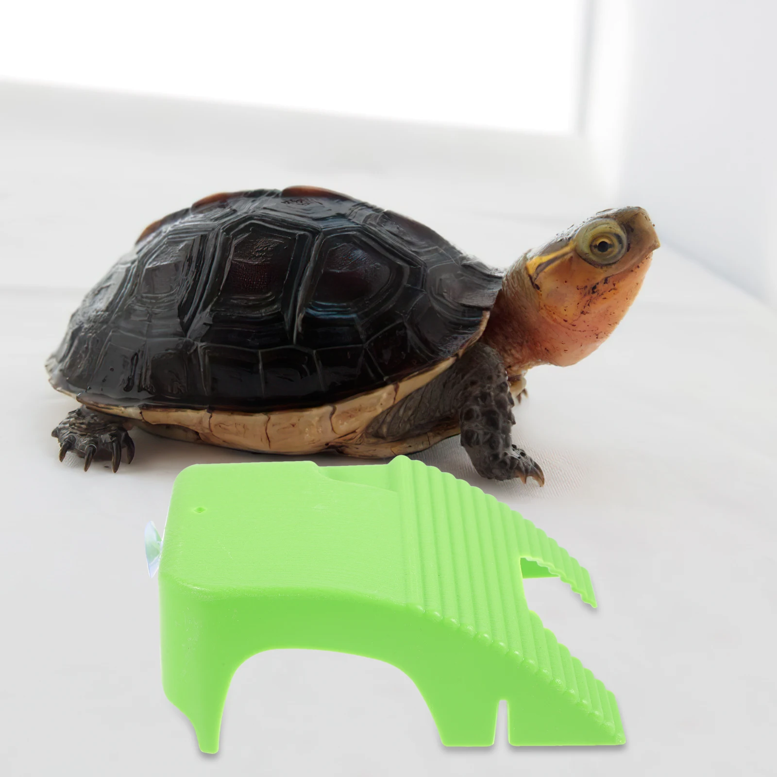 

Turtle Basking Platform Grass Green Plastic Climbing Floating Aquarium L scaping Decor Fish Tank Shelter Reptile Rest St