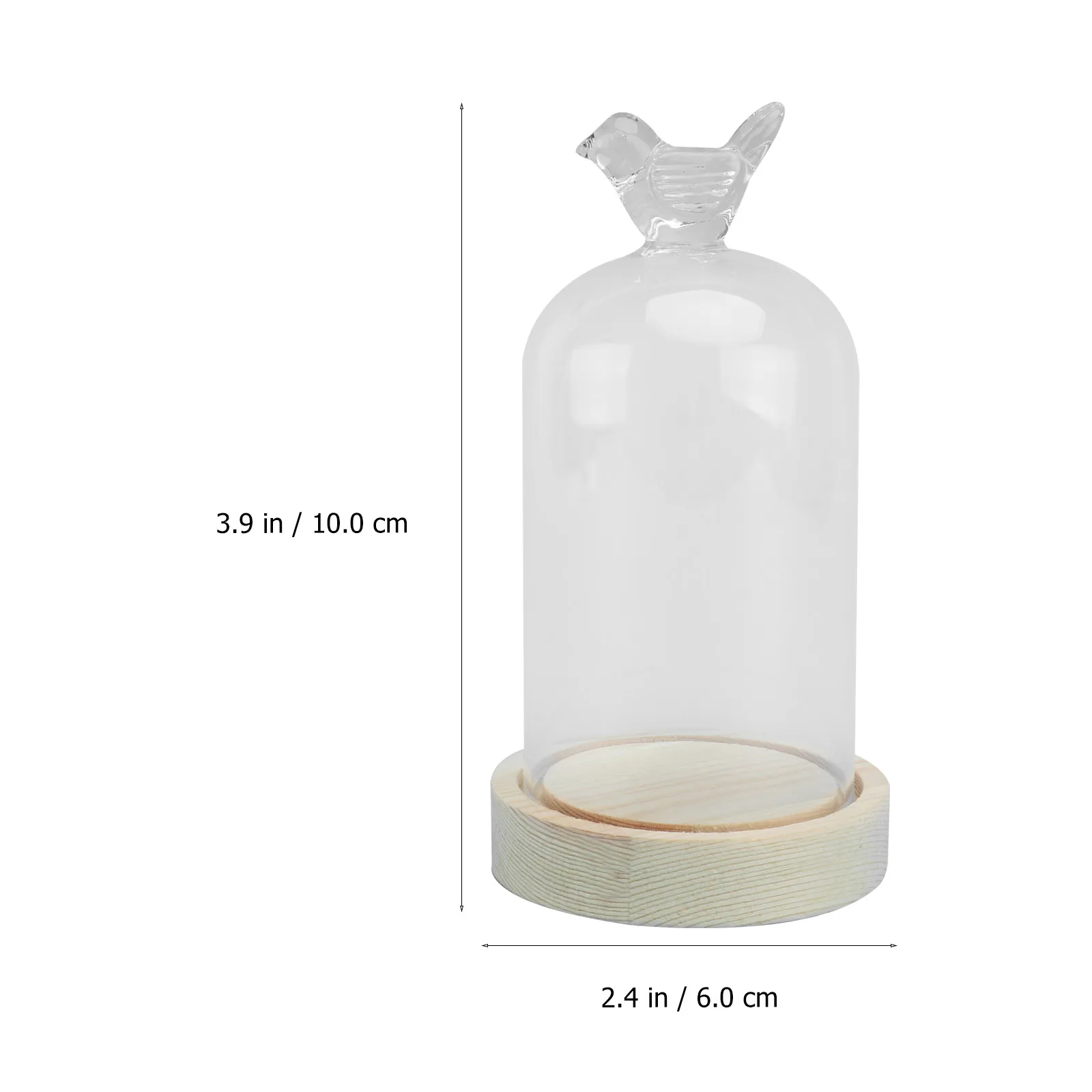 

Glass Display Cover Clear Dome for Artificial Flowers Eternal Bird Design Dust proof Decoration Mini Collectibles Showcase Home