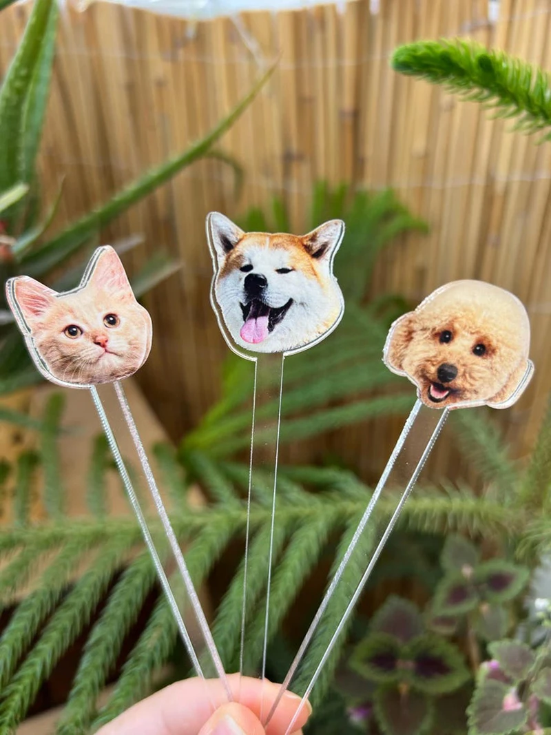 Impressão acrílica personalizada Stir Stick, Dog and Cat Drink Printing, Pet Photo, Cocktail Party, encantos de aniversário, 60 pcs, 80 pcs, 120pcs