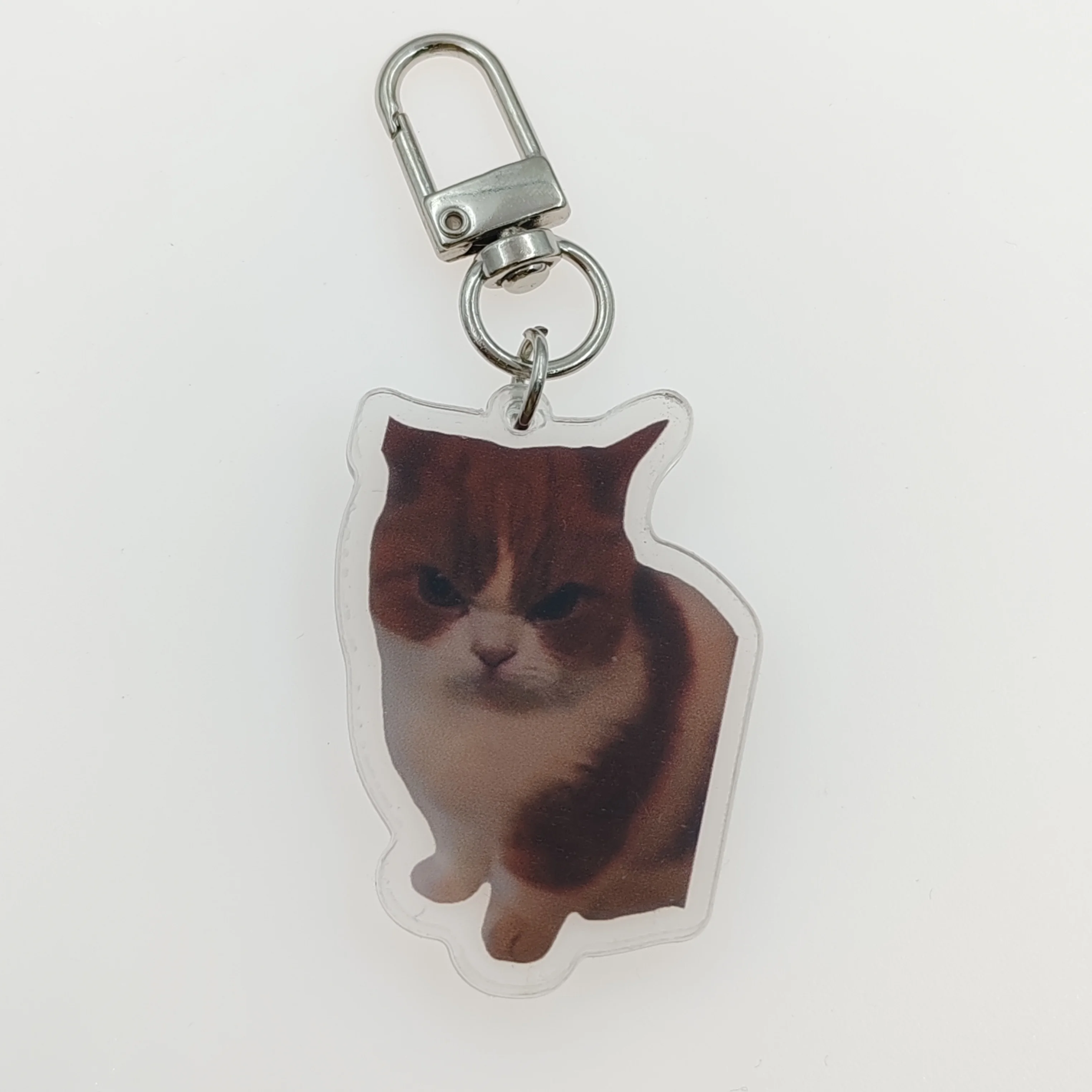 Whimsy Cat Acrylic Cat Keychain Charms - Assorted Angry Cat Designs, Durable Plastic Keyring Pendant for Backpacks, Cute Gift