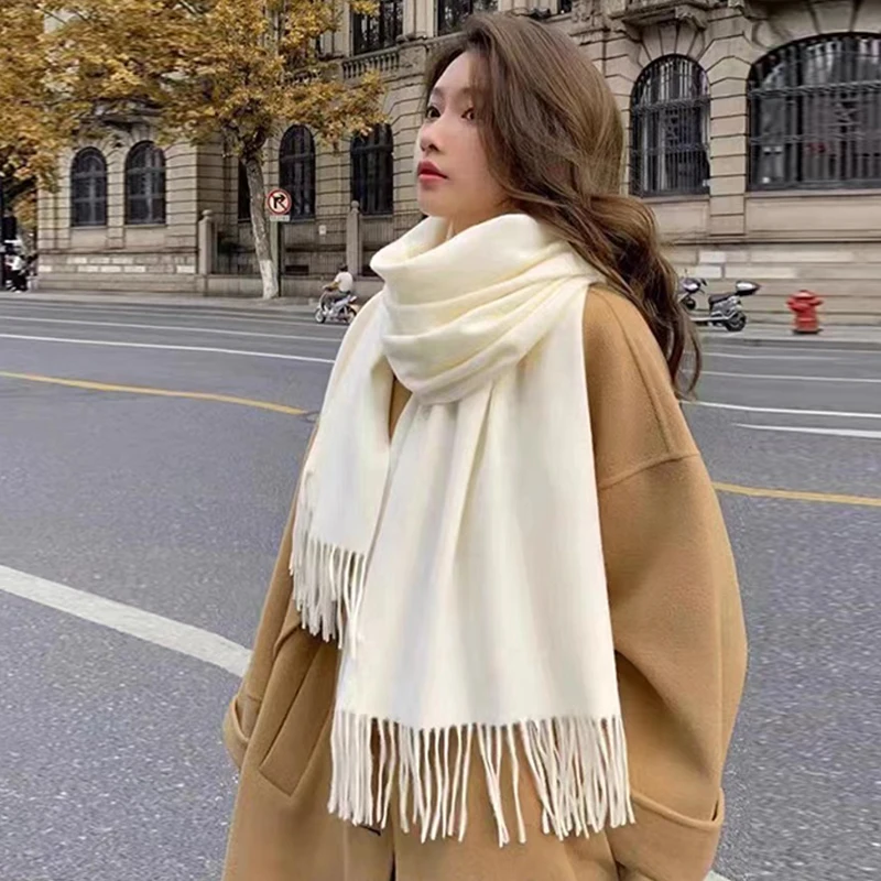 Autumn And Winter New Imitation Cashmere Scarf Solid Color Thickened Warm Fashion Versatile Tassel Shawl High-end