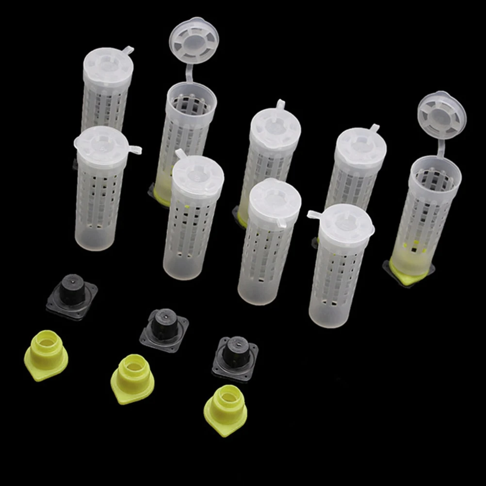 

30 Pcs Protective Cover Beekeeping Rearing Cage Beehive Plastic Keeper