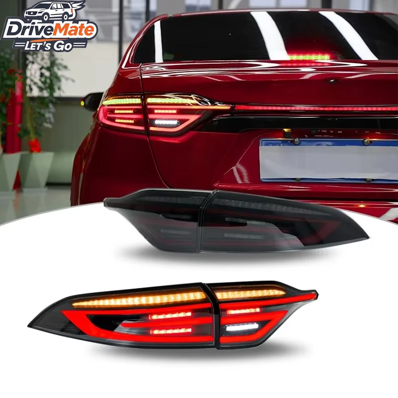 Led Tail Lights for Toyota Levin/American Toyota Corolla 2019-2023 Year Modified Taillight Assembly Signal Rear Lamp