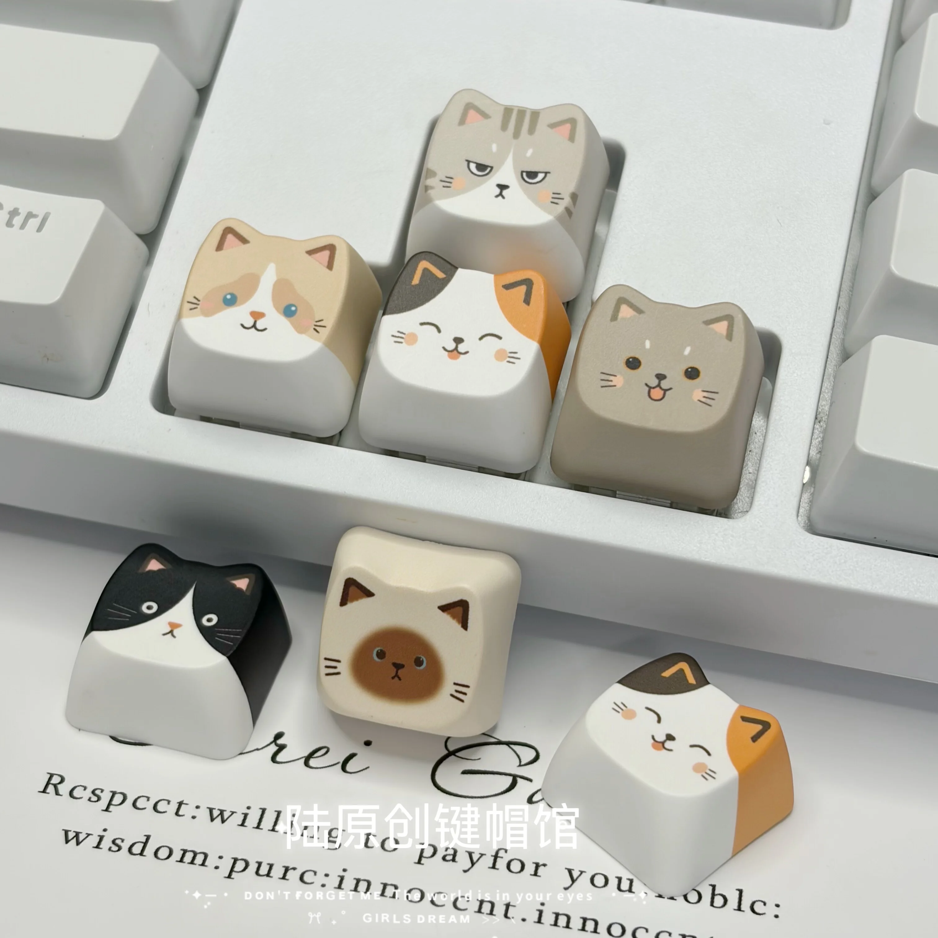 Cute Cartoon Creative Cat Keycap Ragdoll Calico Cat MAO for Mechanical Keyboard Gaming Highly Durable Cute Animal Keycaps