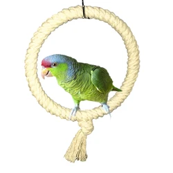 Pet Bird Parrot Toy Rope Swing Standing Bar Pet Bird Chewing Bite Resistant Climbing Ring Toy Bell Hanging Swing Toy for Cage